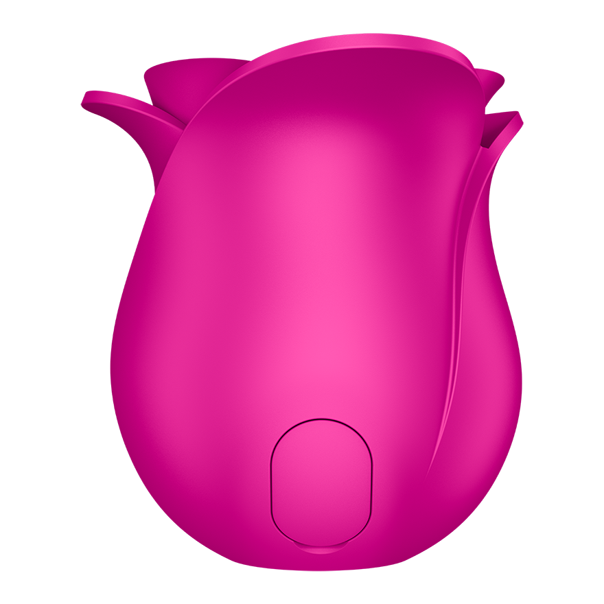 Satisfyer Pro 2 Modern Blossom Rose Vibrator | Satisfyer US | Satisfyer US Satisfyer Pro 2 Modern Blossom Rose Vibrator | Satisfyer US | Satisfyer US